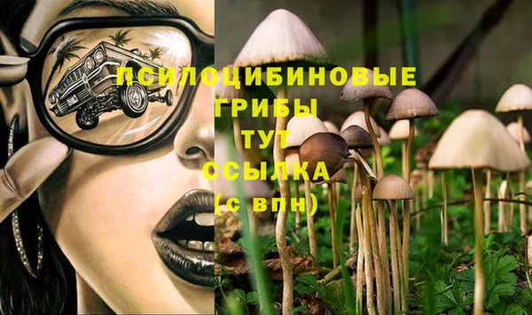 гидра Покачи