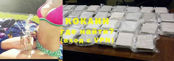 гидра Покачи