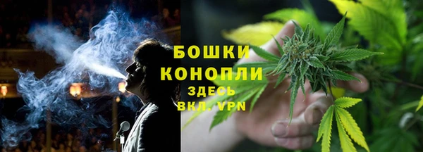 гидра Покачи