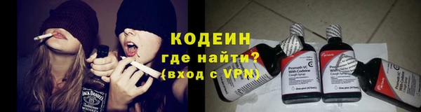 гидра Покачи