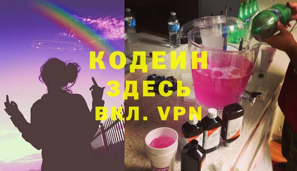 гидра Покачи