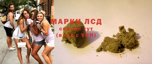 гидра Покачи