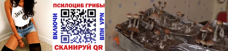 как найти закладки  Нахабино  дарк нет клад  Галлюциногенные грибы прущие грибы  mega ONION 
